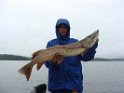 Rob Linn - DSC07068